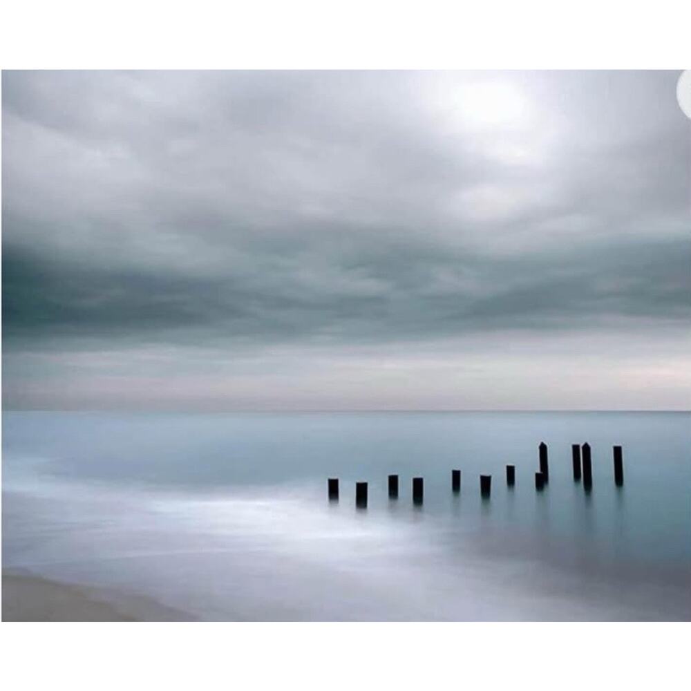Haven Home WALL Decor Coastal Wrapped Canvas POSTS IN WATER 40" by‎ 30" Gray